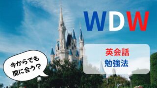 【初心者OK】ディズニーワールドで困らないための英会話フレーズ＆おすすめ勉強法